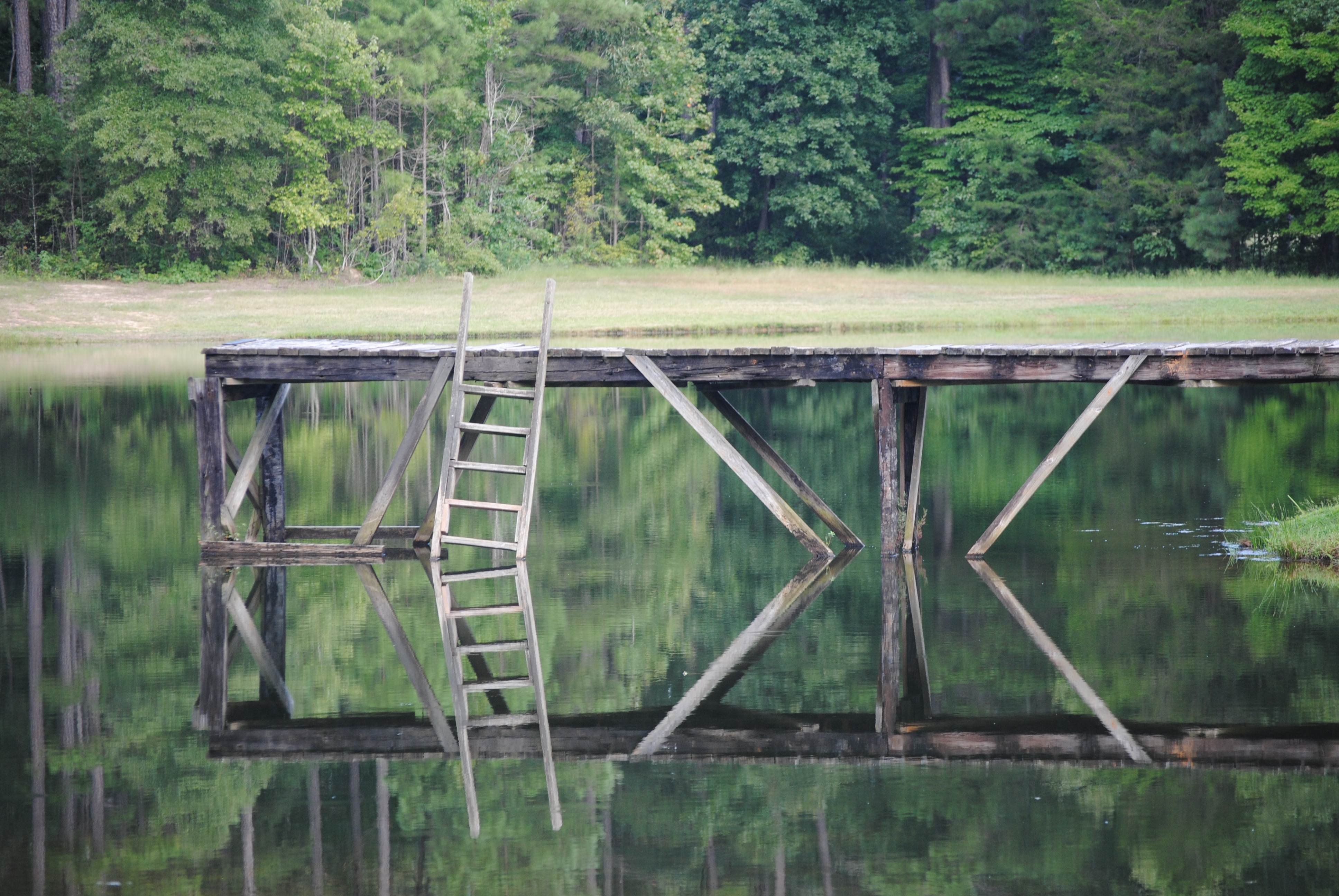 Pond.JPG